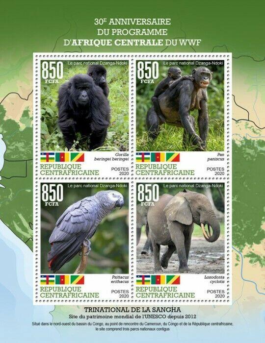 Central African Rep 2020 MNH WWF Stamps Elephants Parrots Gorillas Chimps 4v M/S