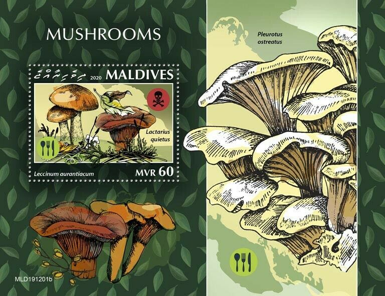 Maldives Mushrooms Stamps 2020 MNH Fungi Boletus Leccinum Nature 1v S/S