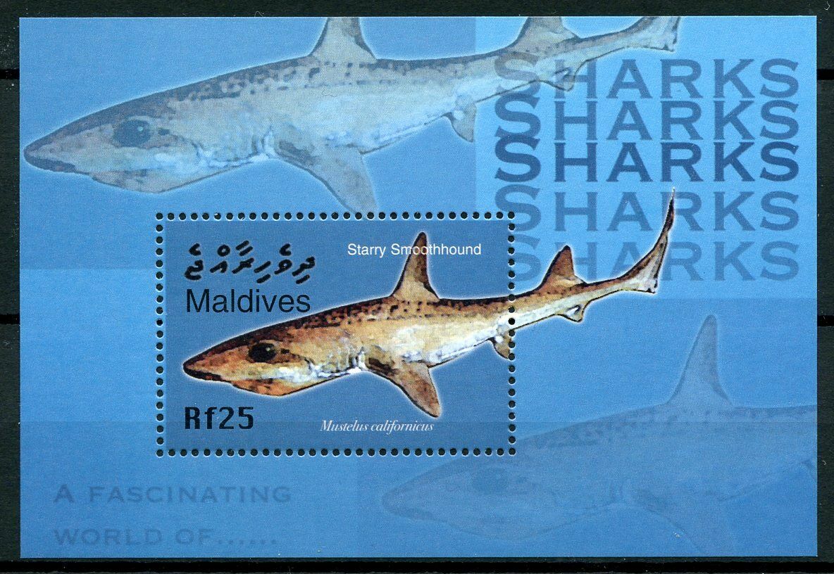 Maldives Sharks Stamps 2004 MNH Starry Smouthhound Marine Animals Fauna 1v S/S