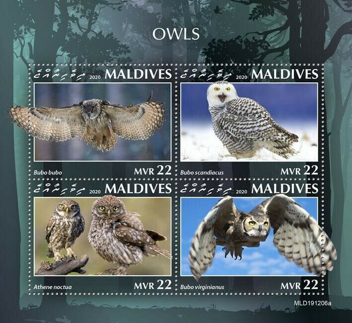 Maldives 2020 MNH Birds on Stamps Owls Eagle-Owl Little Snowy Owl 4v M/S