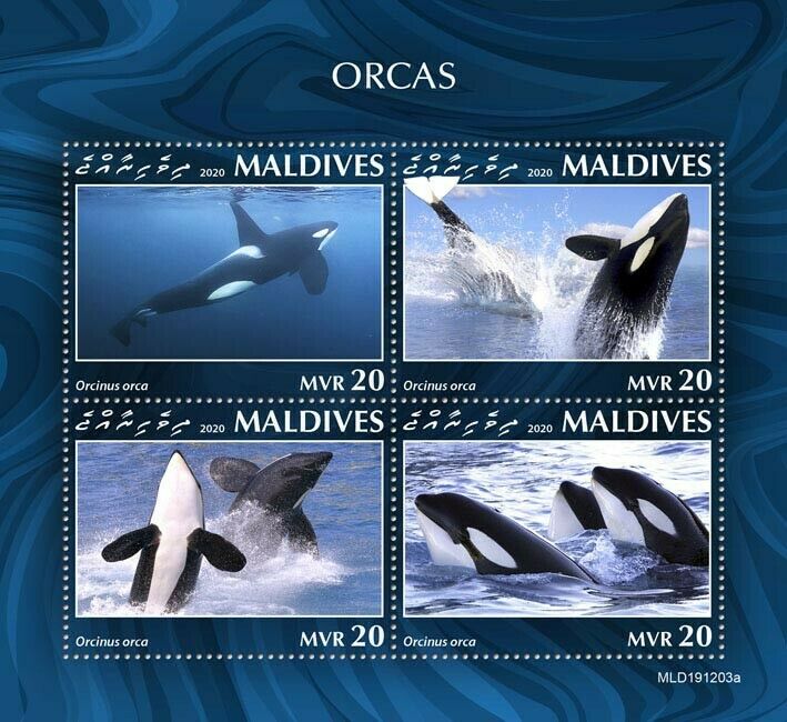 Maldives Marine Animals Stamps 2020 MNH Orcas Killer Whales 4v M/S