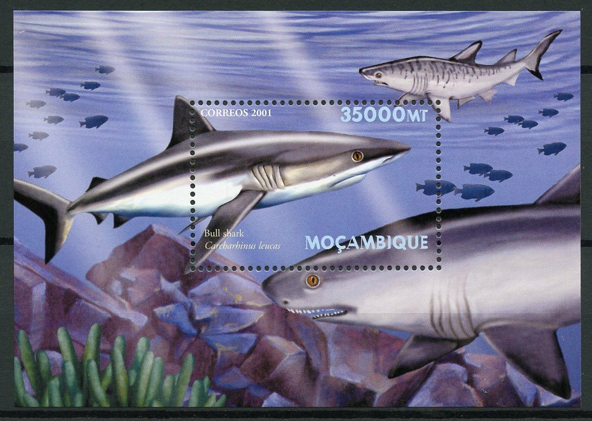 Mozambique Sharks Stamps 2001 MNH Bull Shark Marine Animals 1v S/S