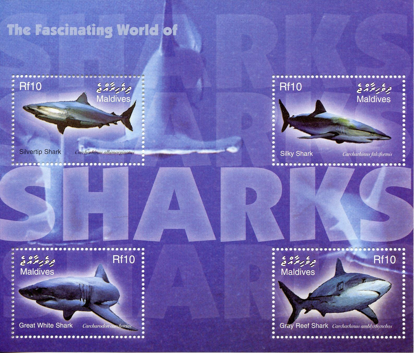 Maldives Sharks Stamps 2004 MNH Silvertip Great White Shark Marine Animals 4v MS