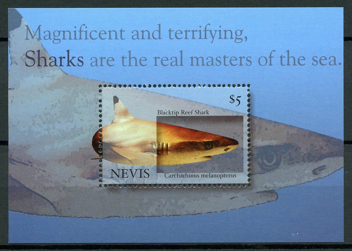 Nevis Sharks Stamps 2005 MNH Blacktip Reef Shark Marine Animals 1v S/S