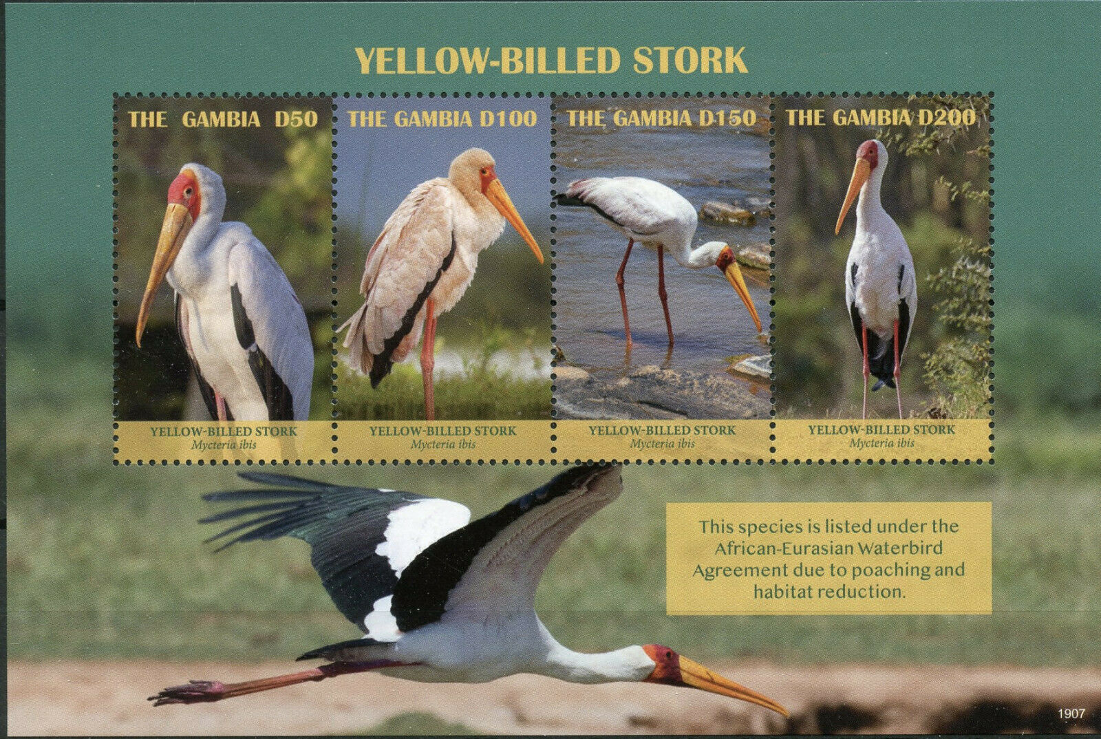 Gambia 2019 MNH Yellow-Billed Stork 4v M/S Storks Birds Stamps