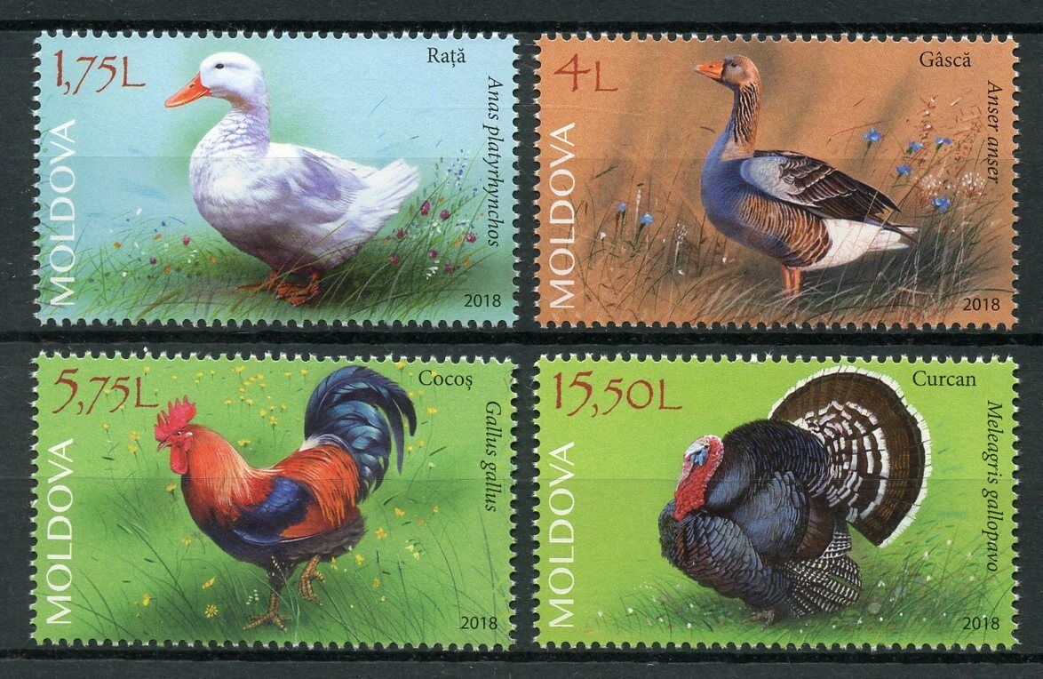 Moldova 2018 MNH Domestic Poultry 4v Set Ducks Geese Turkeys Birds Stamps
