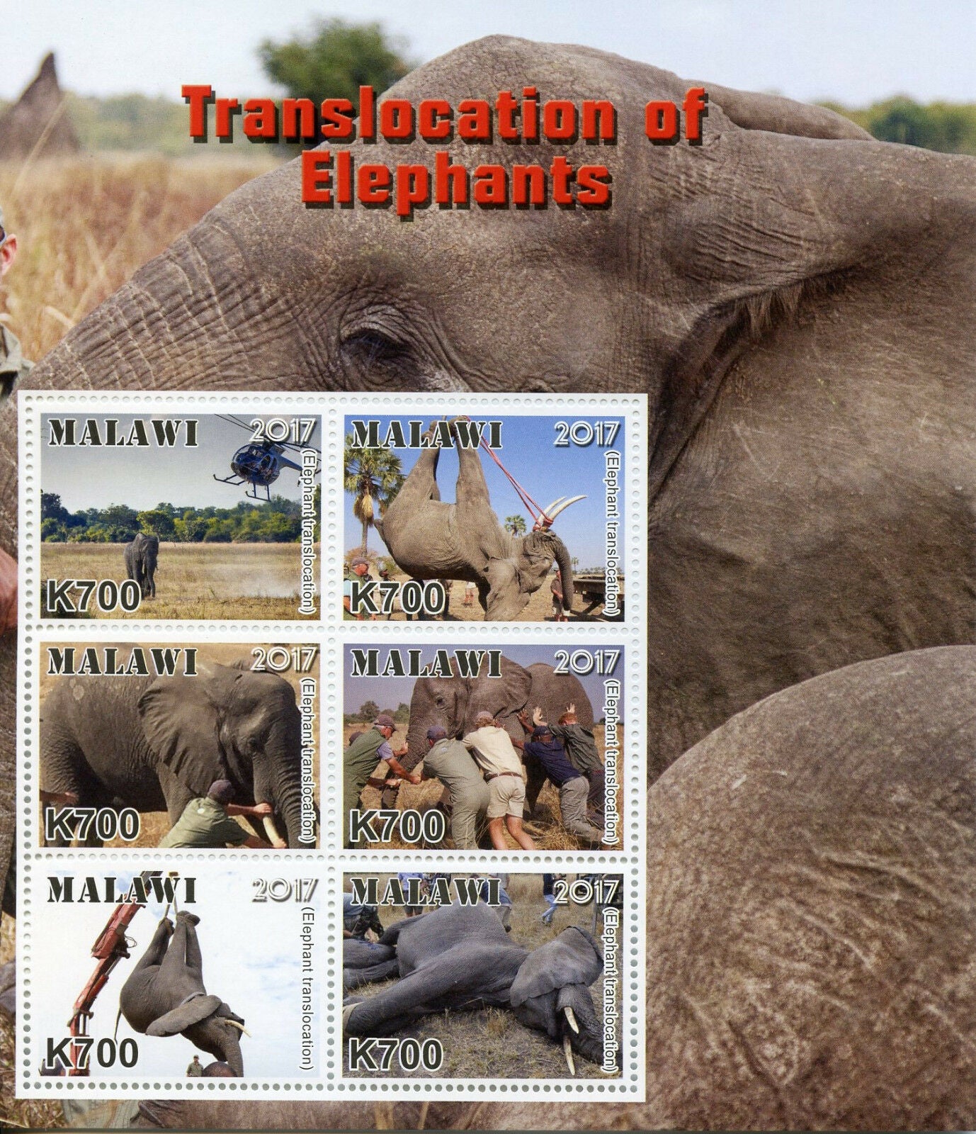 Malawi 2017 MNH Translocation of Elephants 6v M/S Elephant Wild Animals Stamps