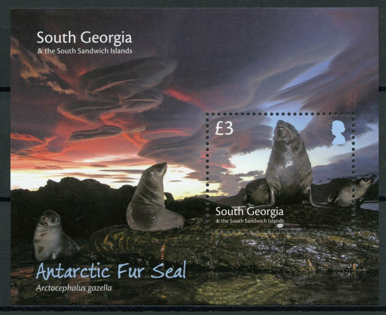 South Georgia & South Sandwich Islands 2018 MNH Marine Animals Stamps Antarctic Fur Seals 1v M/S