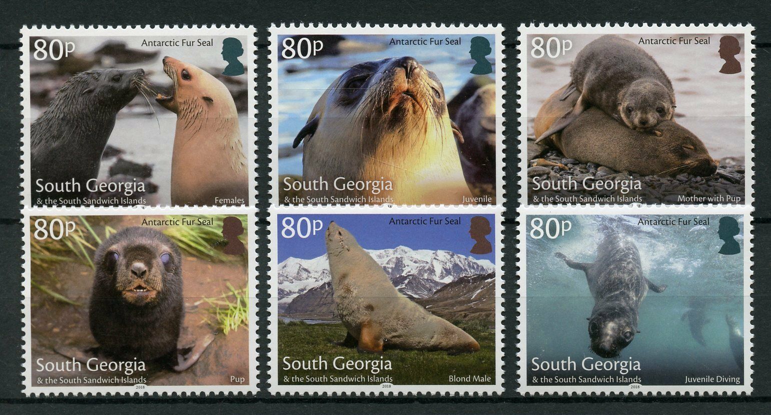 South Georgia & South Sandwich Islands 2018 MNH Marine Animals Stamps Antarctic Fur Seals 6v Set