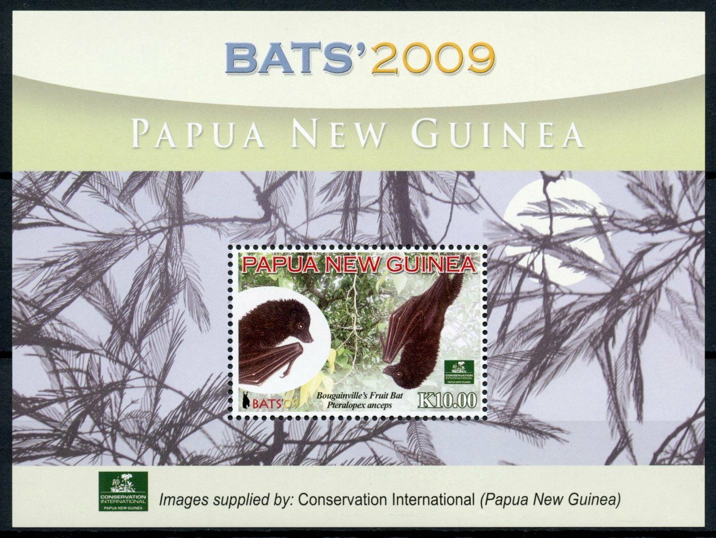Papua New Guinea PNG Wild Animals Stamps 2009 MNH Bats Conservation 1v S/S