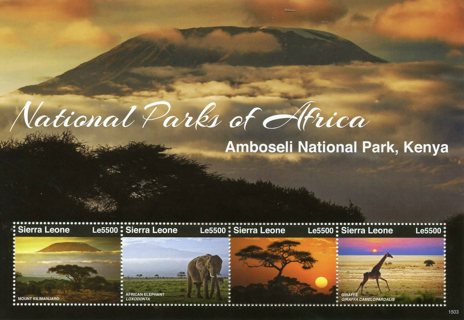 Sierra Leone Elephants Stamps 2015 MNH National Parks Africa Amboseli 4v M/S I