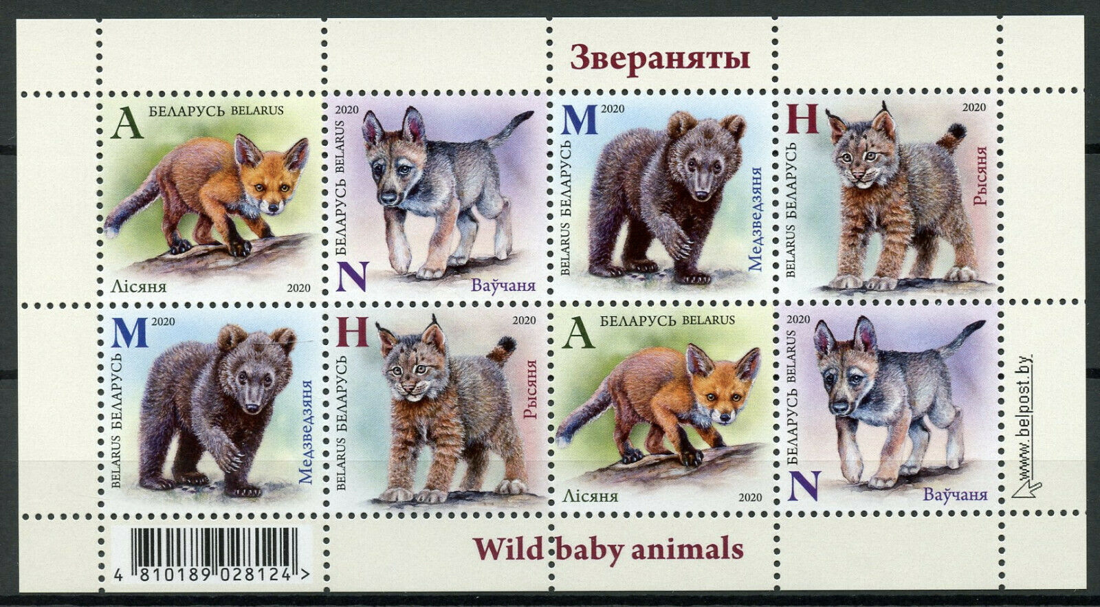 Belarus Wild Animals Stamps 2020 MNH Baby Foxes Bears Lynx Fauna 8v M/S