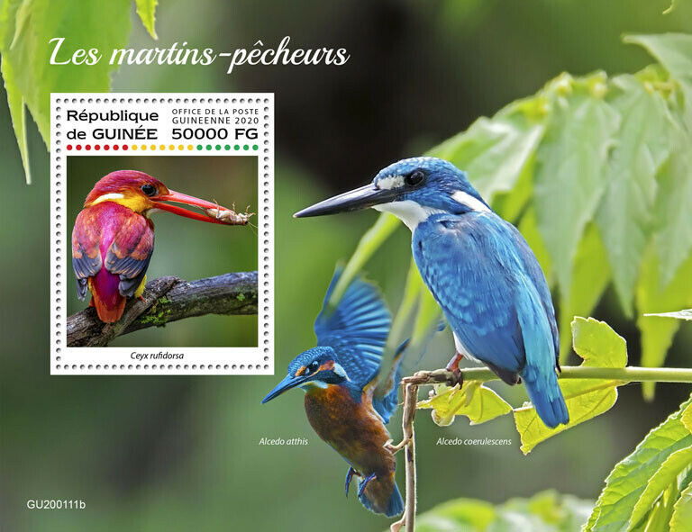 Guinea 2020 MNH Birds on Stamps Kingfishers Rufous-Backed Kingfisher 1v S/S