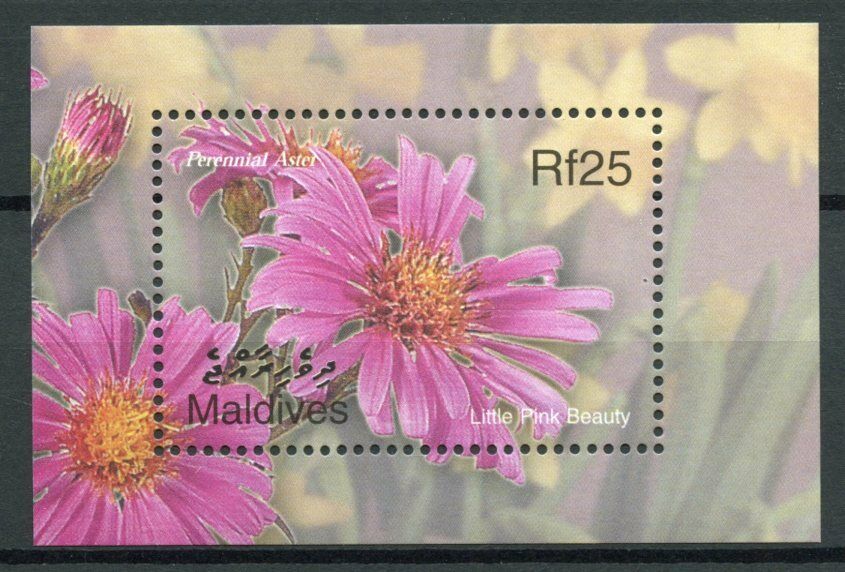 Maldives Flowers Stamps 2002 MNH Perennial Aster Little Pink Beauty Flora 1v S/S