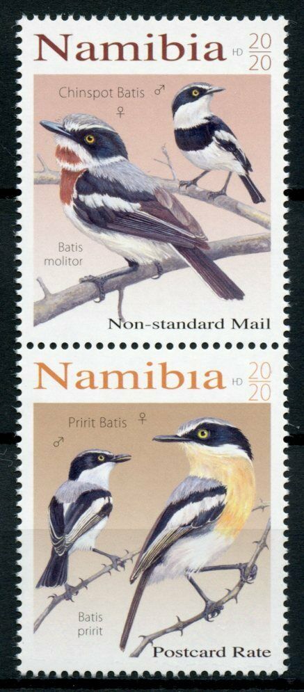 Namibia Birds on Stamps 2020 MNH Batises Pririt Chinspot Batis 2v Se-tenant Set