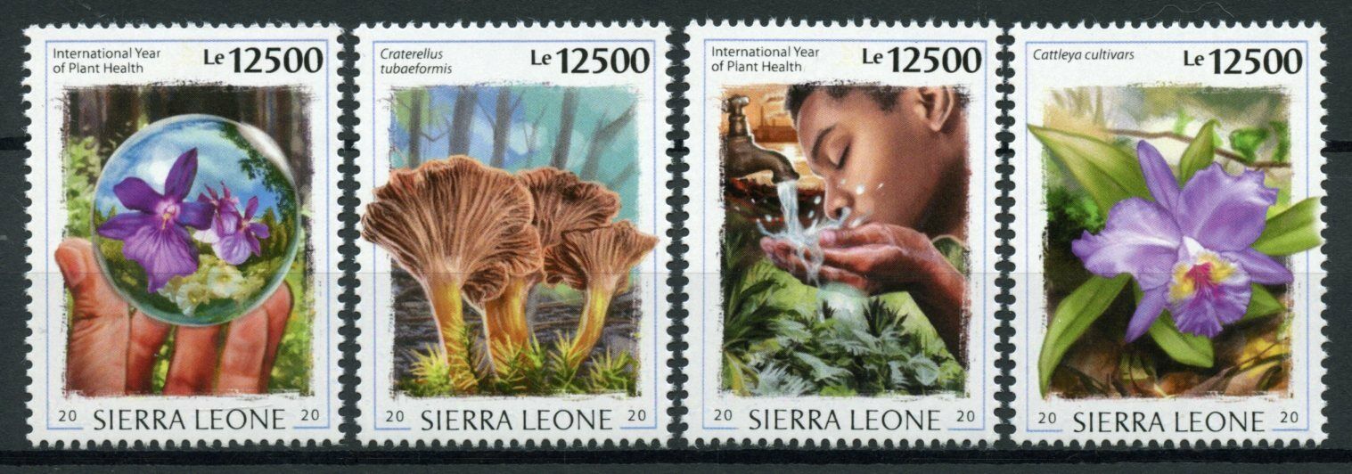 Sierra Leone Plants Stamps 2020 MNH Year Plant Health Flowers Mushrooms 4v Set