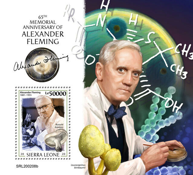 Sierra Leone Medical Stamps 2020 MNH Alexander Fleming Mushrooms Science 1v S/S