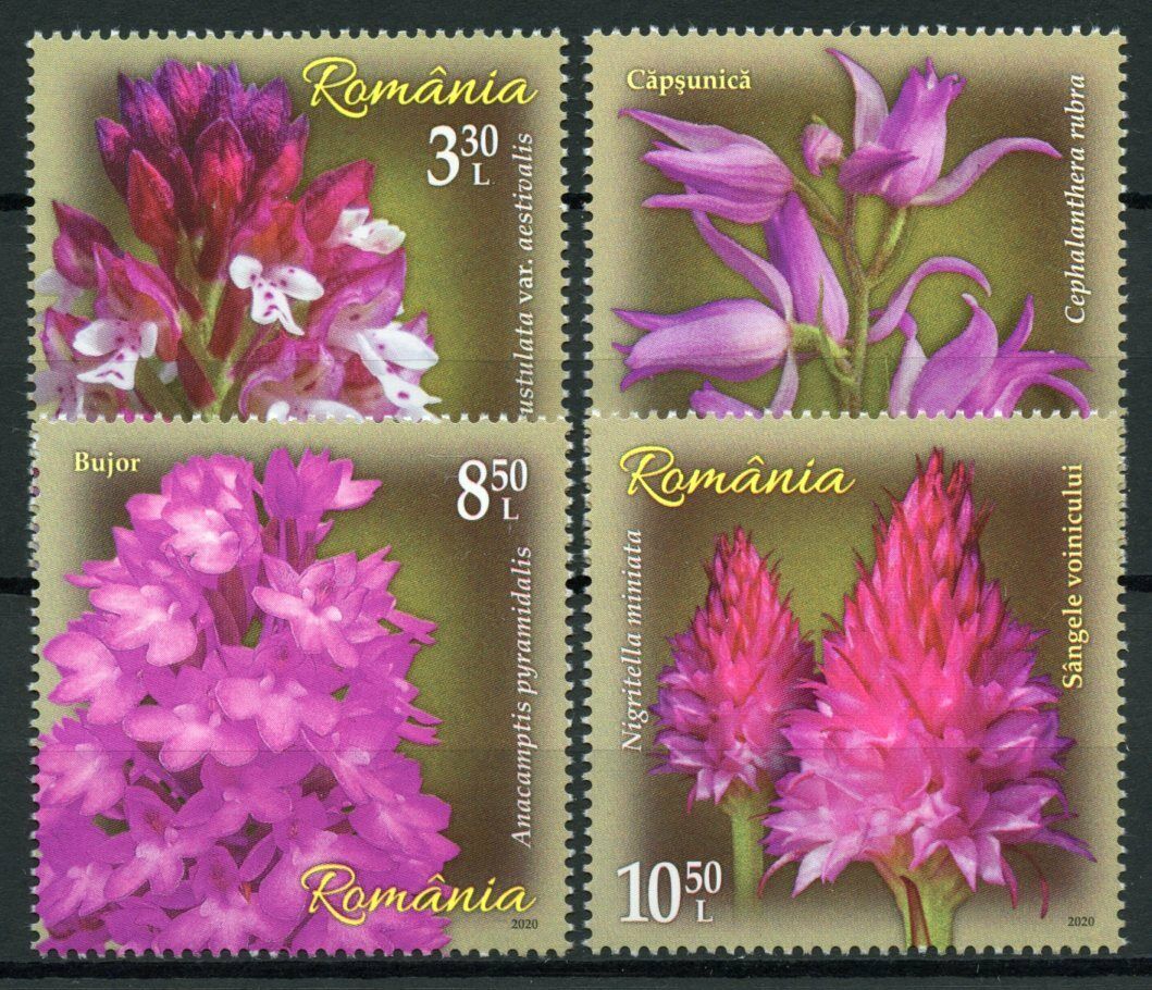 Romania Flowers Stamps 2020 MNH Orchids Orchid Flora Nature 4v Set