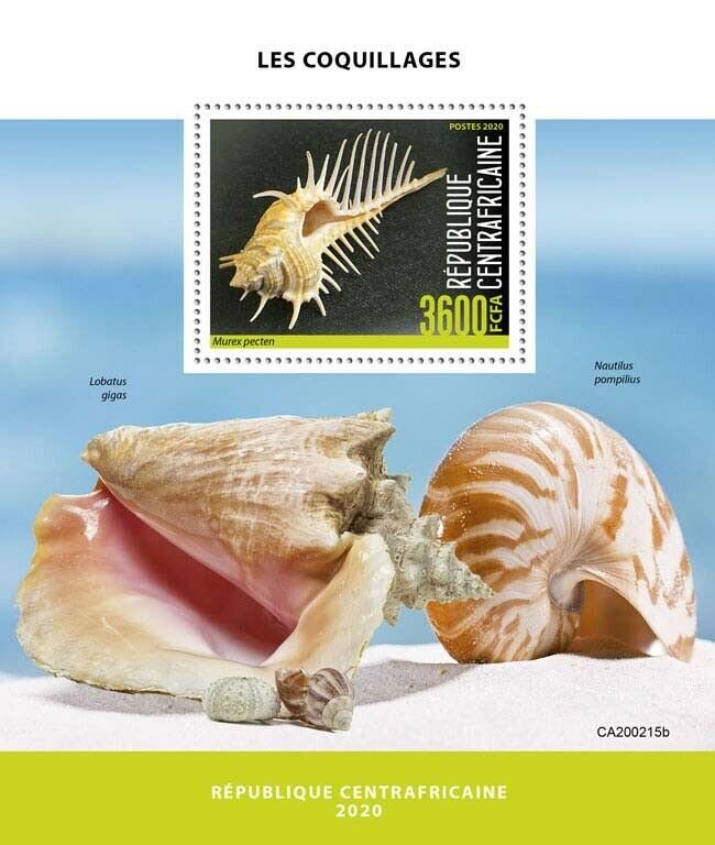 Central African Republic Seashells Stamps 2020 MNH Shells Cypraea Marine 1v S/S