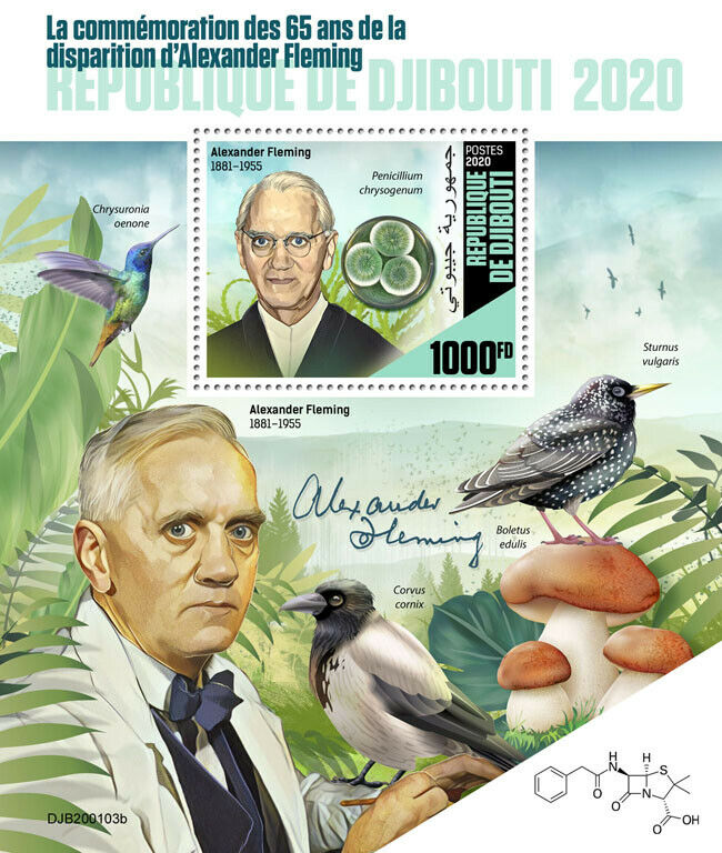 Djibouti 2020 MNH Medical Stamps Alexander Fleming Mushrooms Penicillin 1v S/S