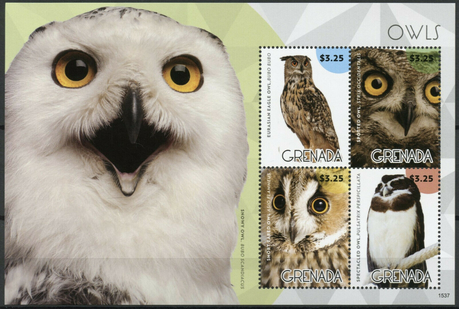 Grenada 2015 MNH Birds of Prey on Stamps Owls Spotted Spectacled Eagle Owl 4v M/S II