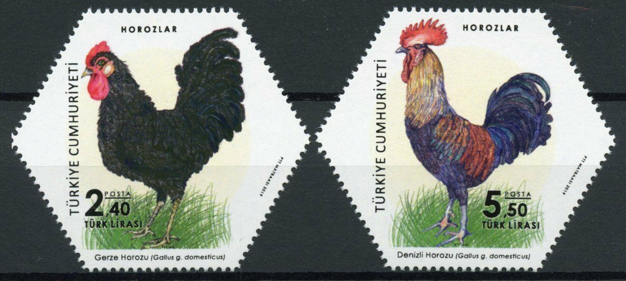 Turkey Farm Animals Stamps 2019 MNH Roosters Chickens Birds 2v Set