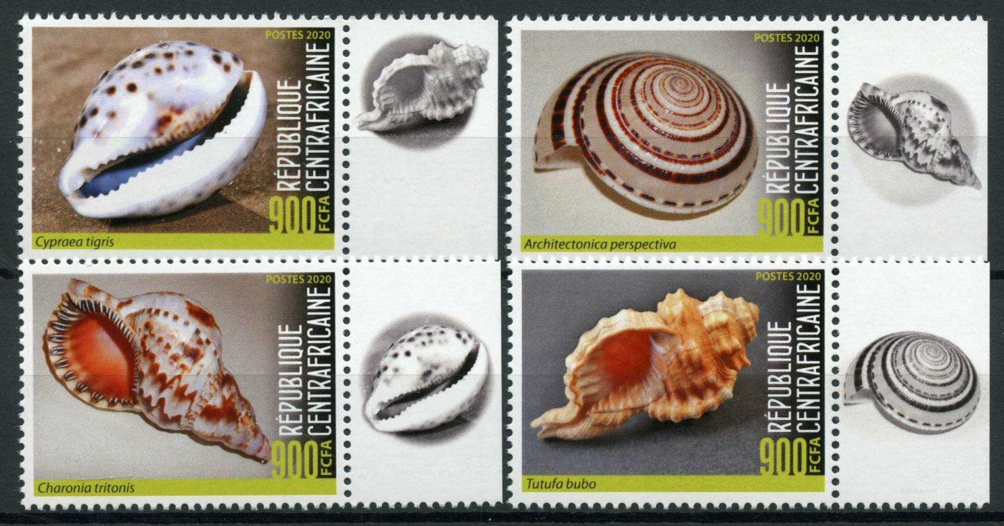 Central African Republic Seashells Stamps 2020 MNH Shells Cypraea Marine 4v Set