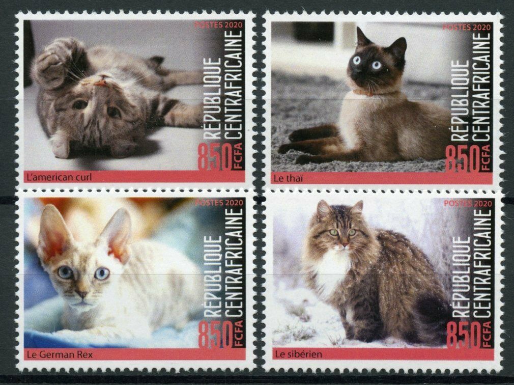 Central African Rep 2020 MNH Cats Stamps Americal Curl Siberian Thai Cat 4v Set