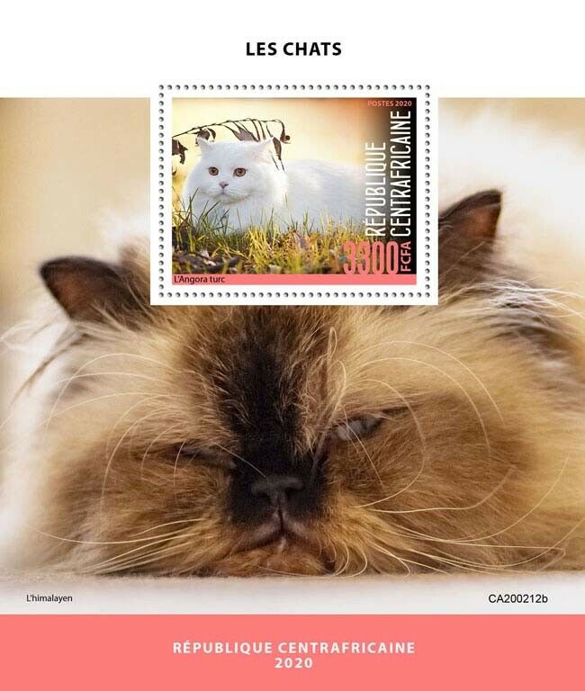 Central African Rep 2020 MNH Cats Stamps Turkish Angora Himalayan Cat 1v S/S
