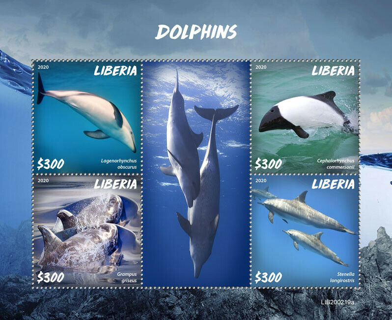 Liberia 2020 MNH Marine Animals Stamps Dolphins Commerson's Dolphin 4v M/S