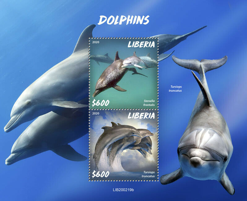 Liberia Marine Animals Stamps 2020 MNH Dolphins Common Bottlenose Dolphin 2v S/S