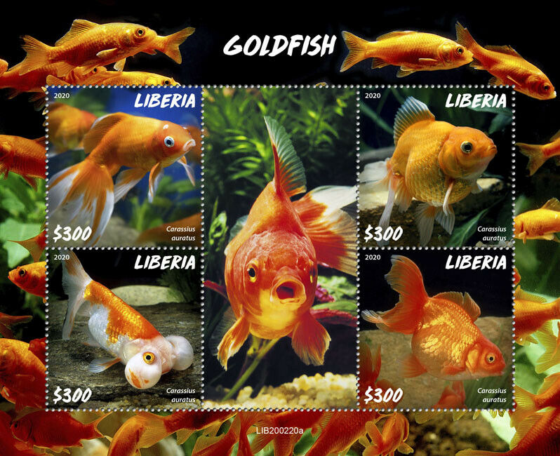 Liberia Fish Stamps 2020 MNH Goldfish Fishes Domestic Animals 4v M/S