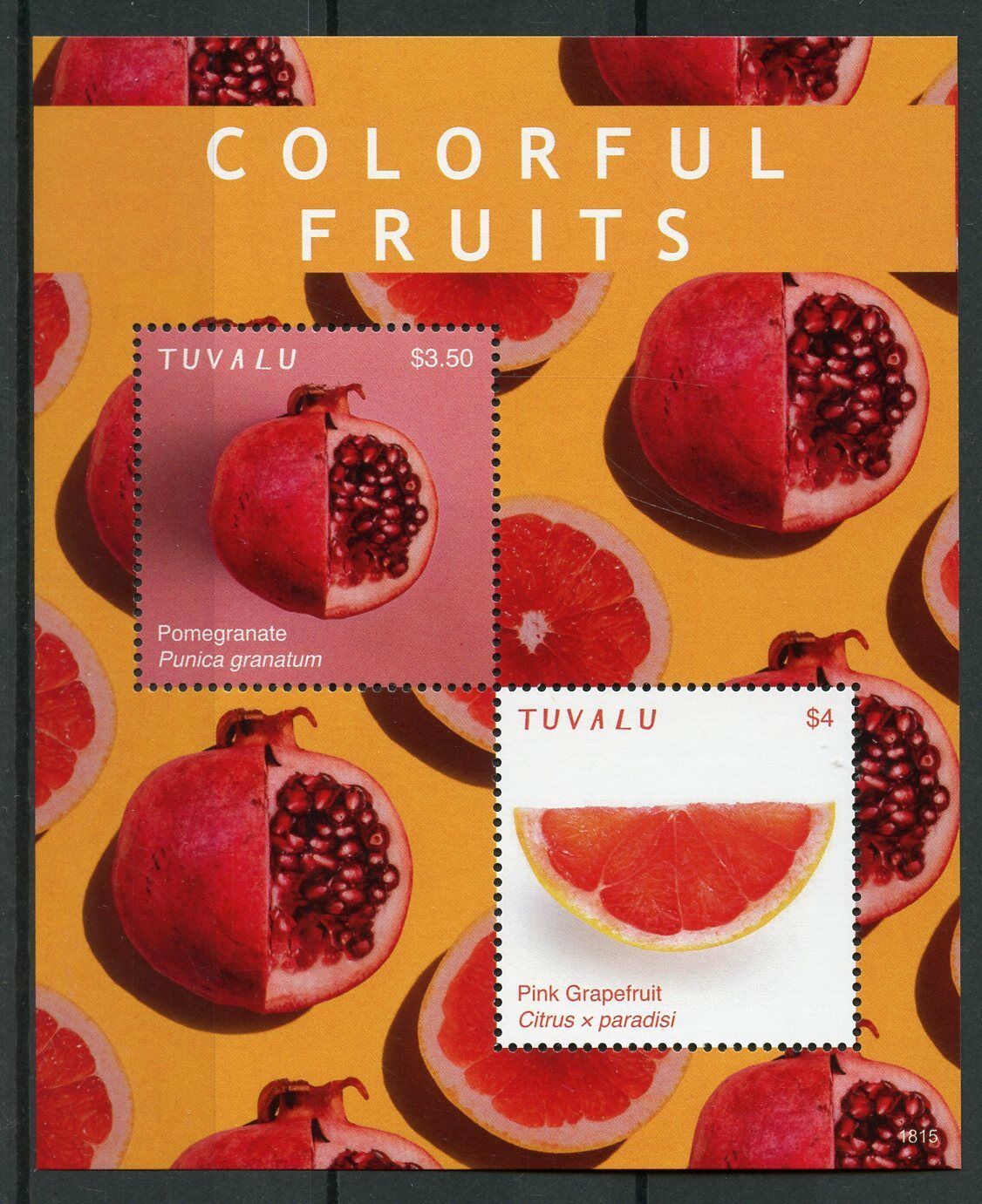 Tuvalu Nature Stamps 2018 MNH Colorful Fruits Pomegranate Grapefruit 2v S/S
