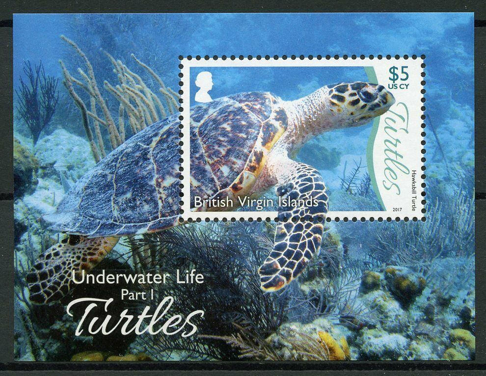 BVI 2017 MNH Turtles Stamps Underwater Life Pt 1 Hawksbill Sea Turtle Reptiles 1v M/S