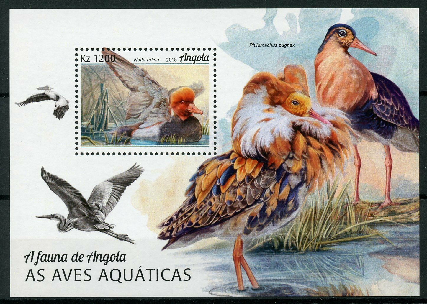 Angola 2018 MNH Water Birds Seabirds Pochard Ruff 1v M/S Waders Ducks Stamps