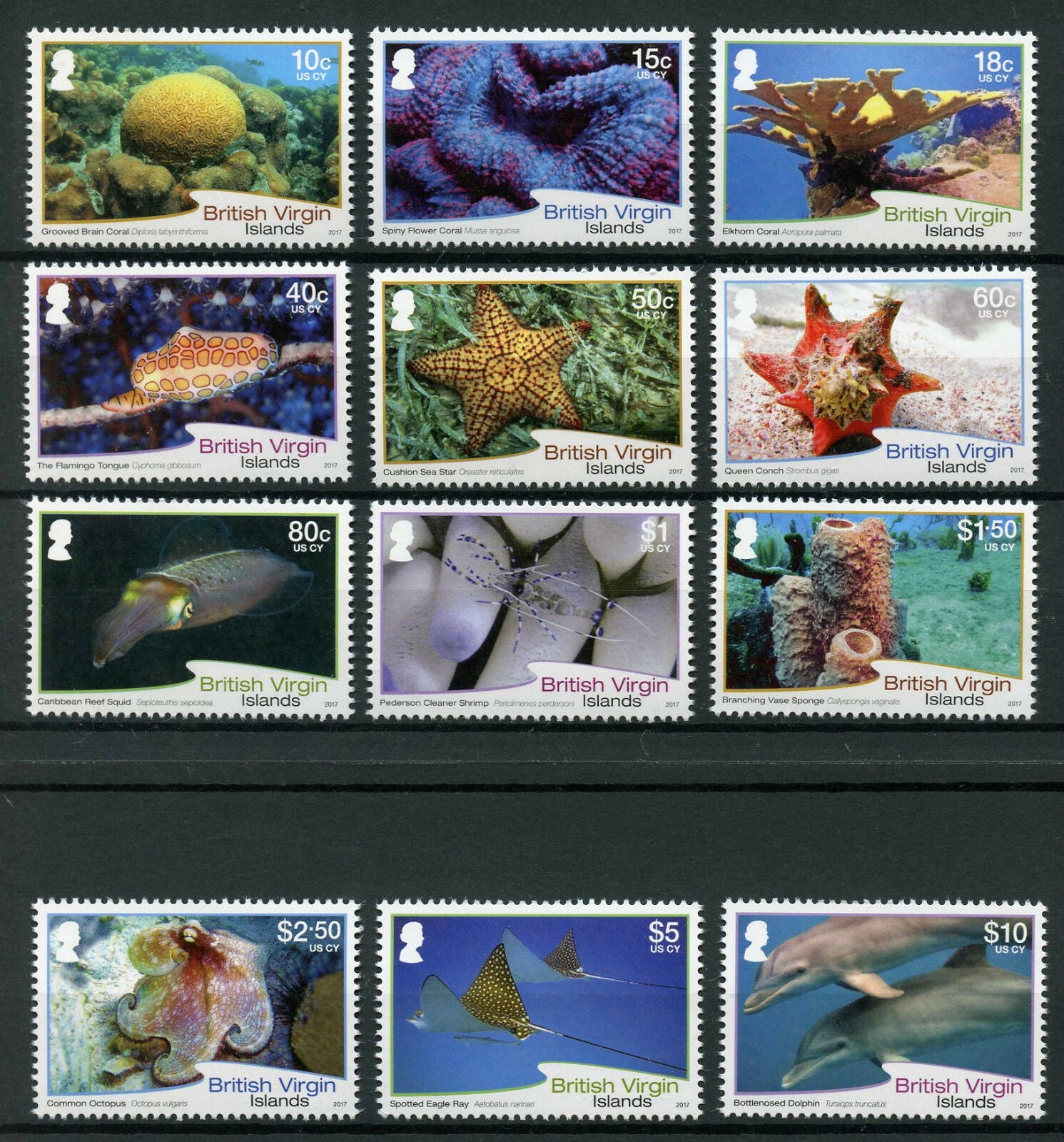 BVI 2017 MNH Sea Life Stamps Definitives Fish Dolphins Corals 12v Set