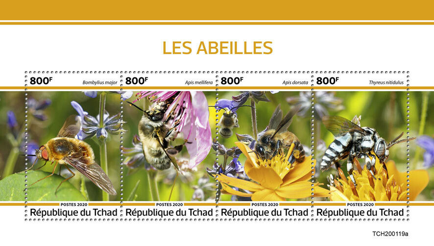 Chad 2020 MNH Bees Stamps Honey Bee Insects 4v M/S