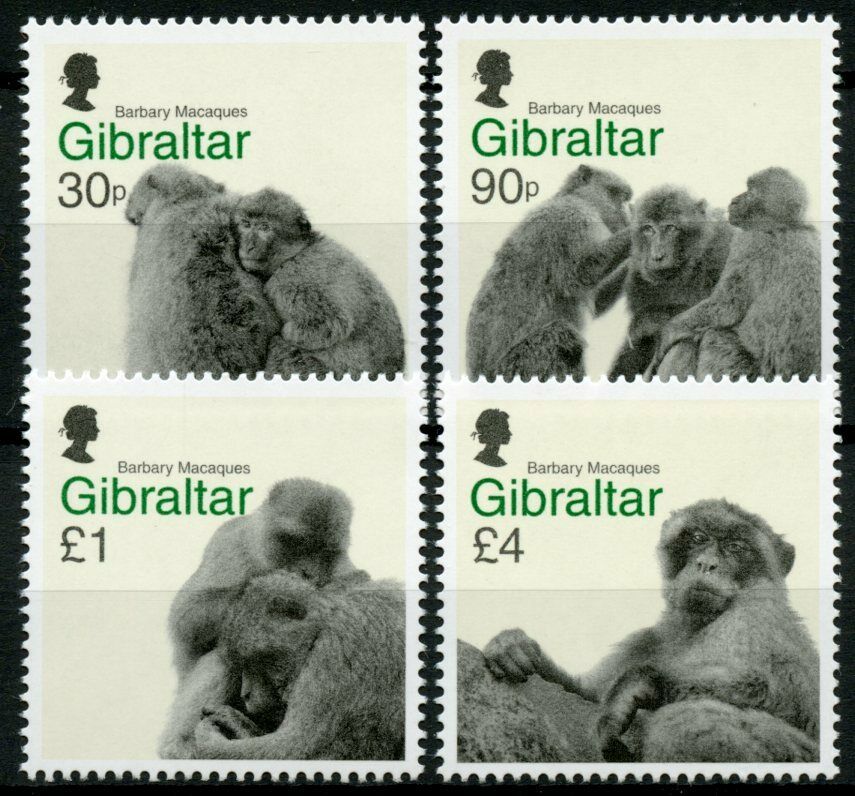 Gibraltar Wild Animals Stamps 2020 MNH Barbary Macaques Monkeys Fauna 4v Set