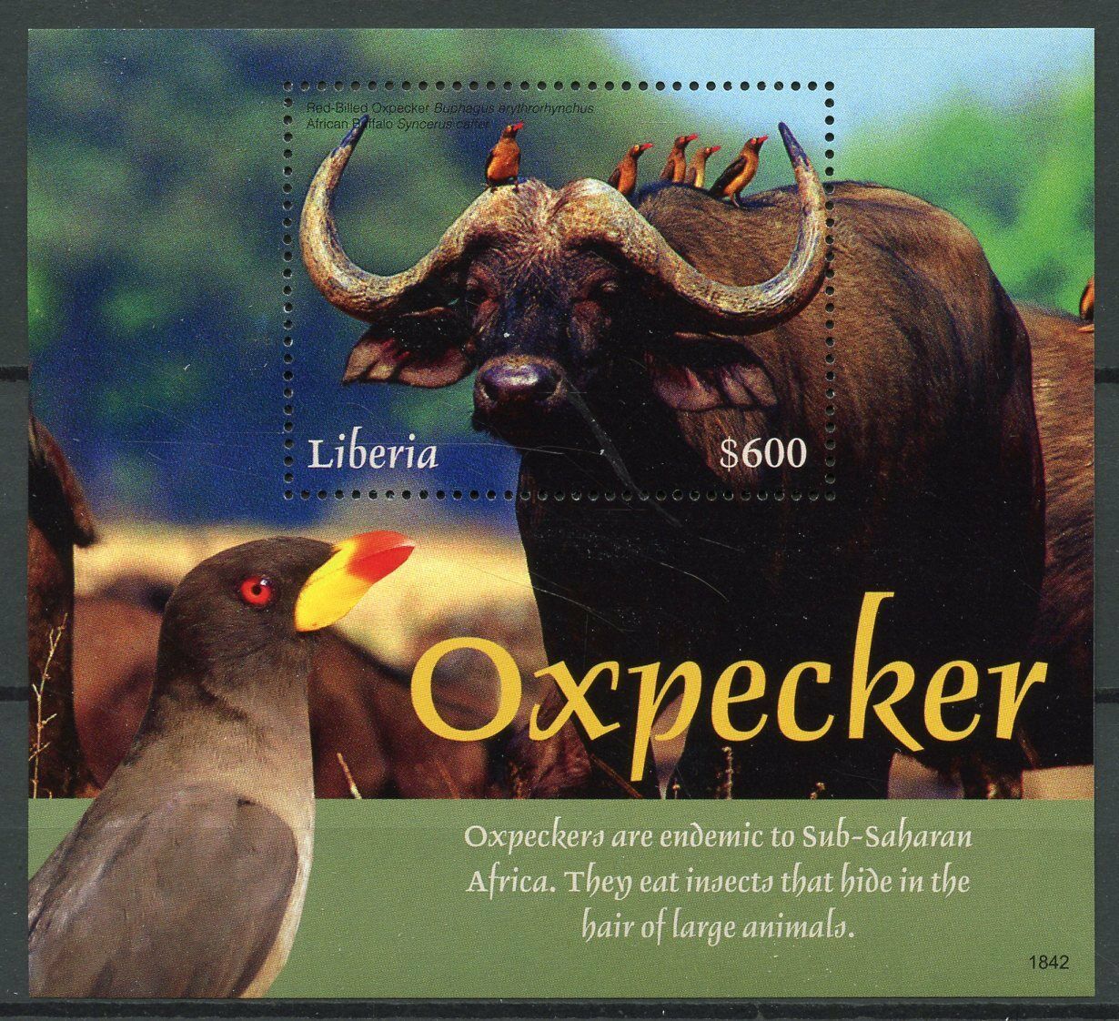 Liberia 2018 MNH Birds on Stamps Oxpecker African Buffalo Wild Animals 1v S/S