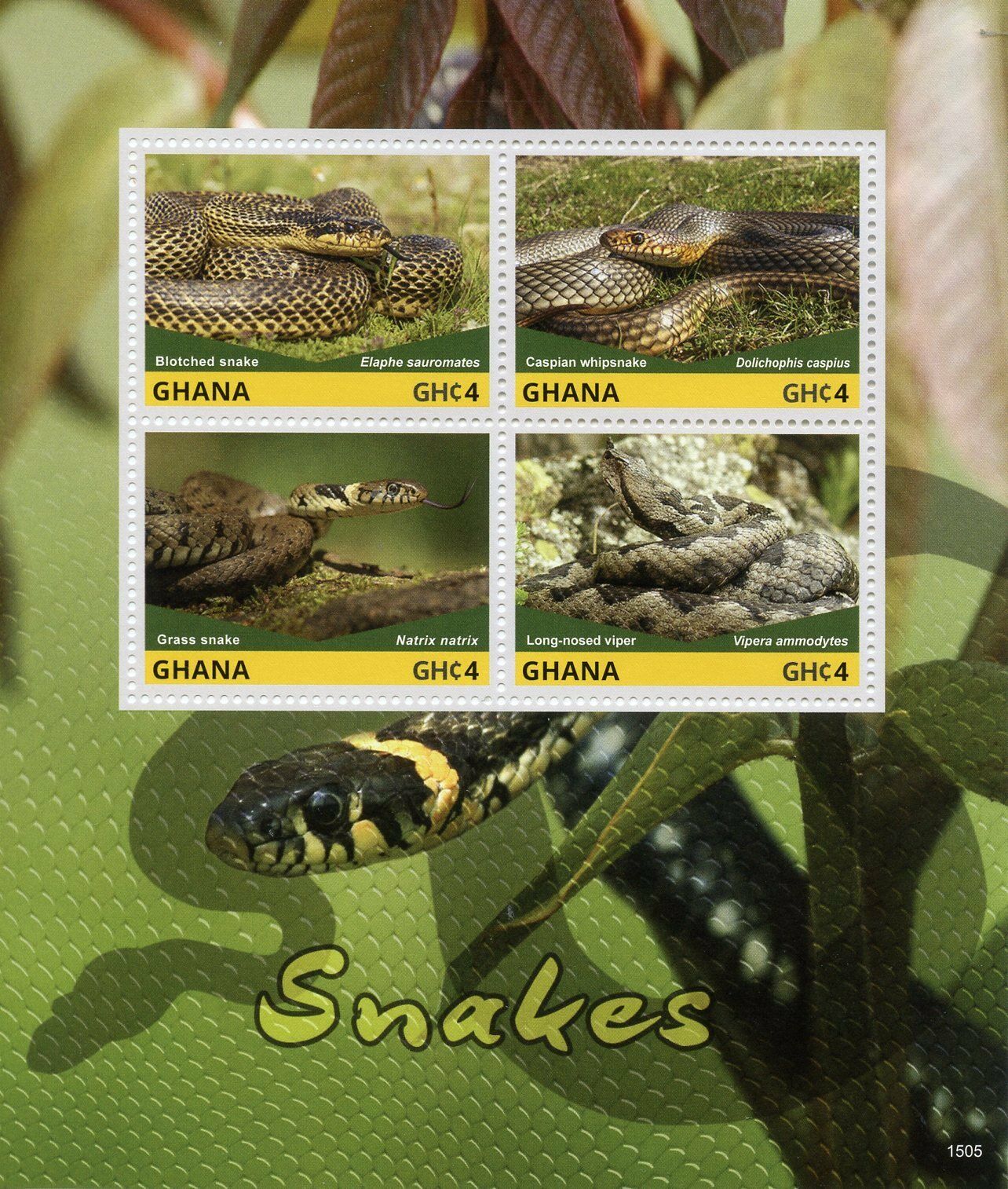 Ghana 2015 MNH Snakes 4v M/S I Reptiles Caspian Whipsnake Viper Grass Snake