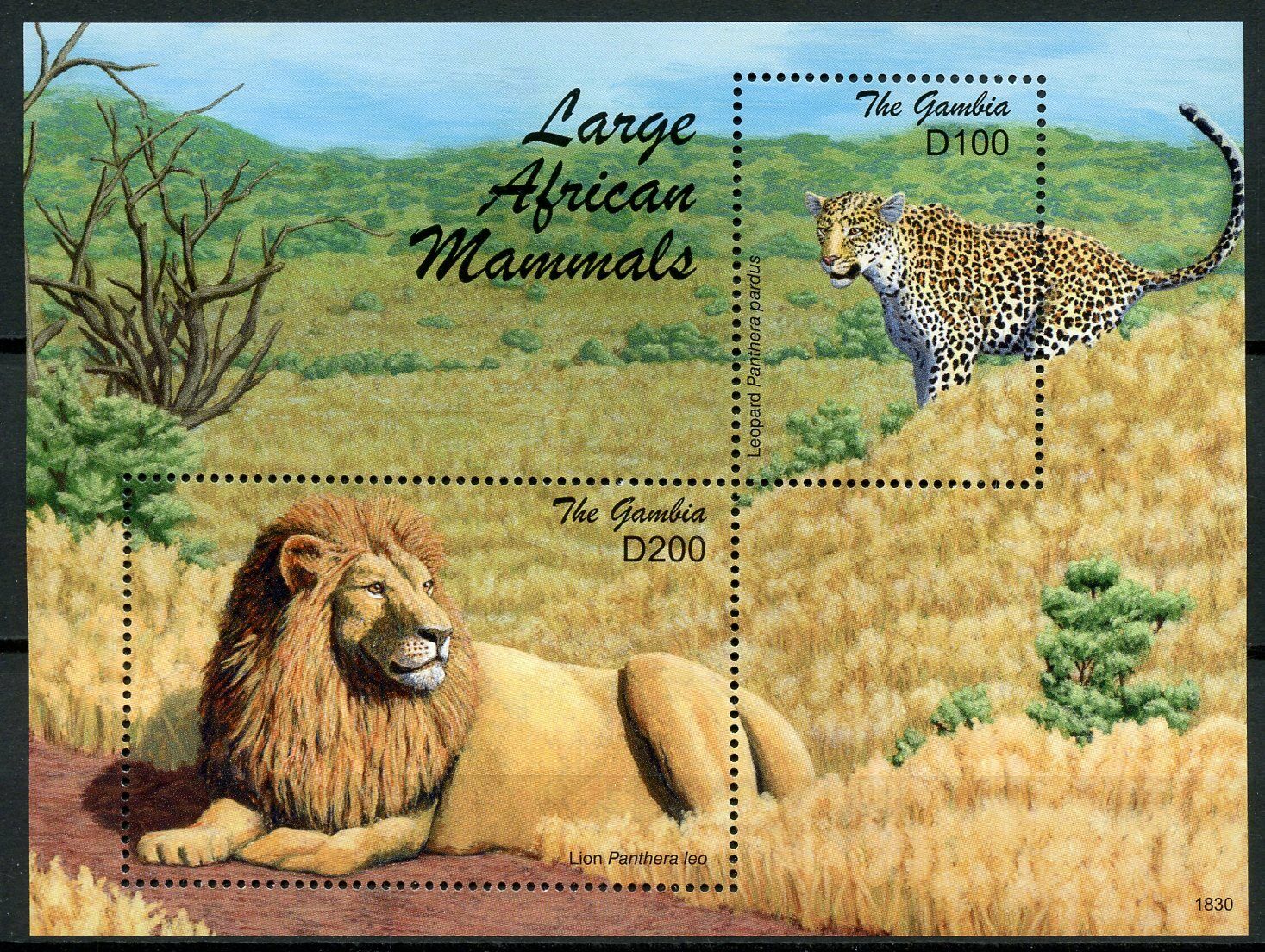 Gambia 2018 MNH Wild Animals Stamps Large African Mammals Lions Leopards 2v S/S