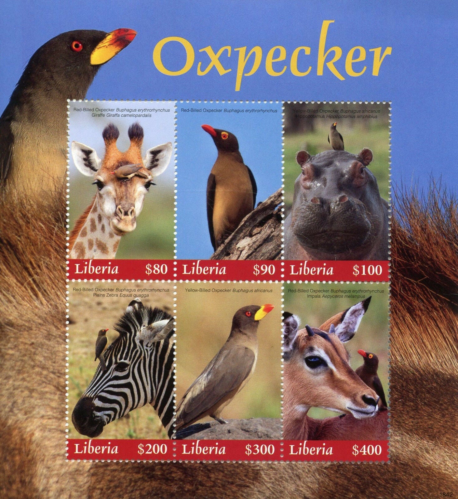 Liberia 2018 MNH Birds on Stamps Oxpecker Giraffes Zebras Hippos Animals 6v M/S