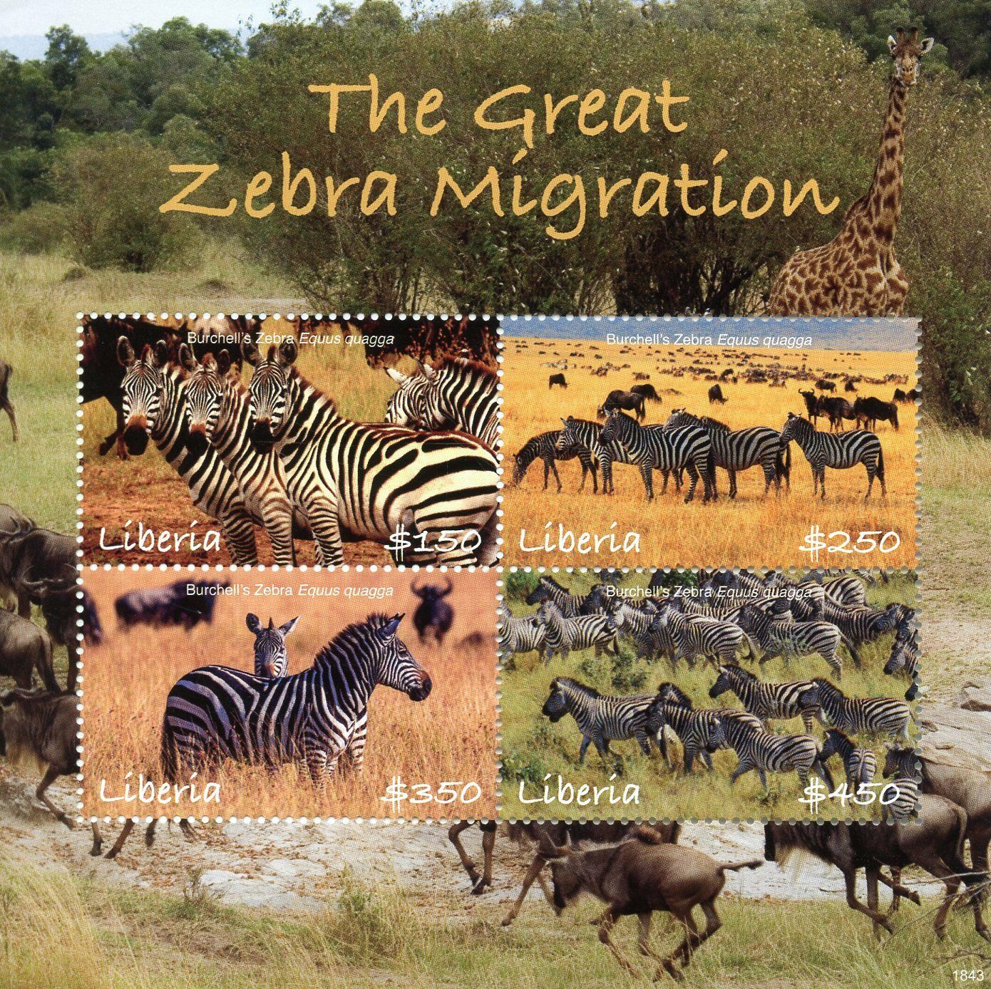 Liberia 2018 MNH Great Zebra Migration 4v M/S Zebras Wild Animals Stamps