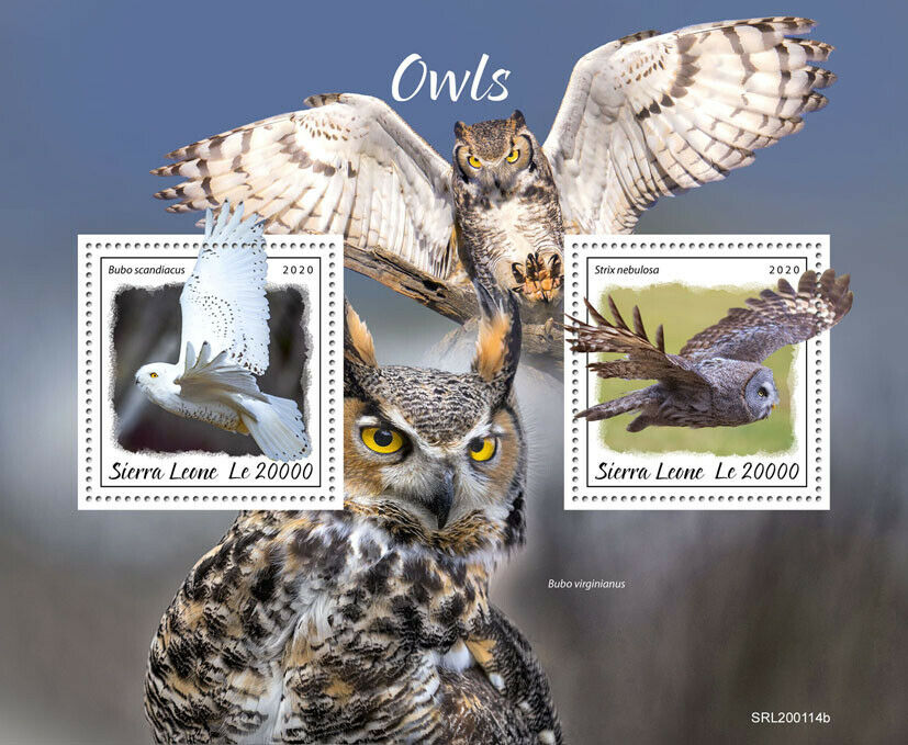 Sierra Leone Birds on Stamp 2020 MNH Owls Great Grey Snowy Owl 2v S/S