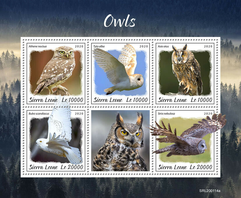 Sierra Leone 2020 MNH Birds on Stamps Owls Little Snowy Barn Owl 5v M/S