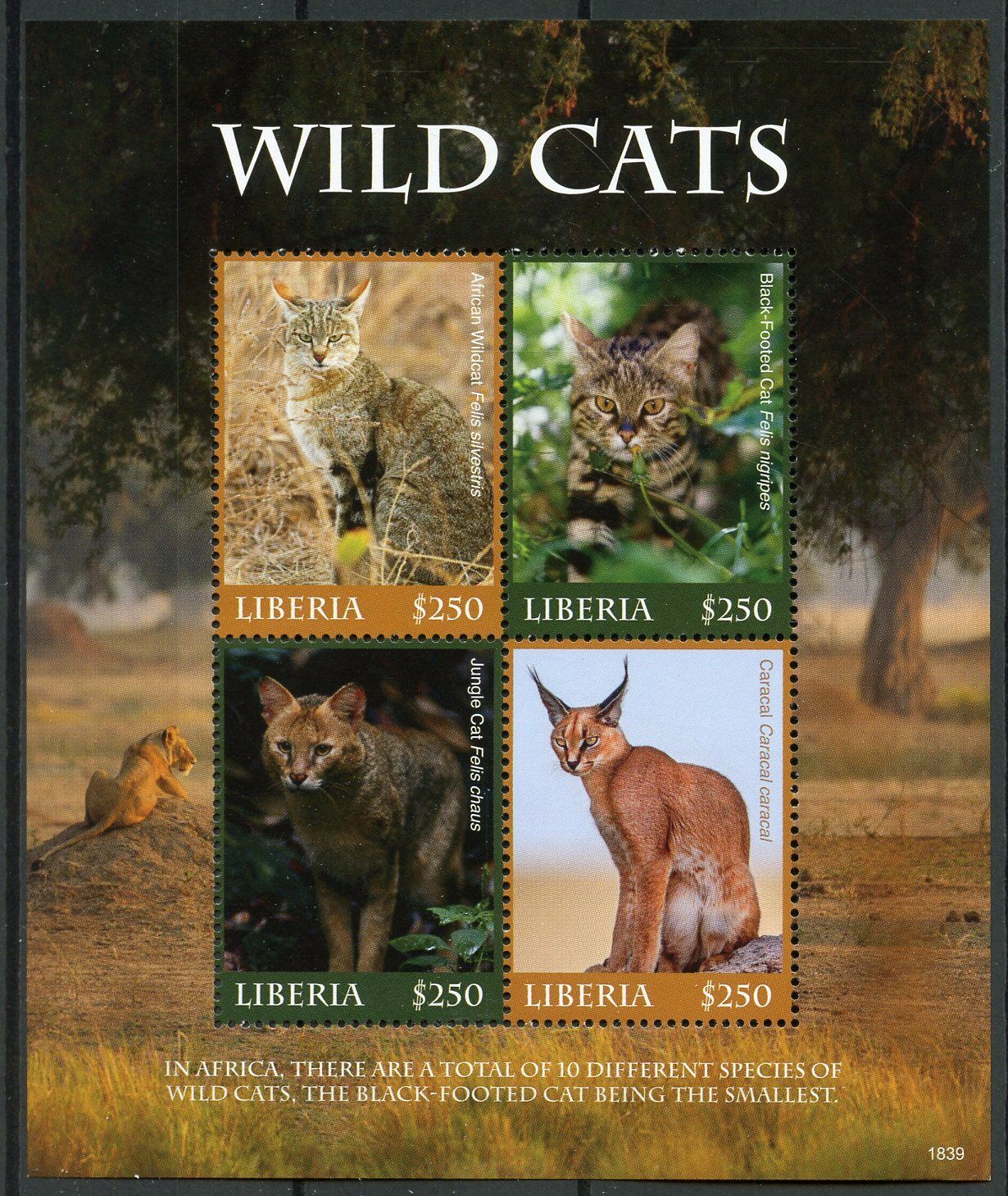 Liberia 2018 MNH Wild Animals Stamps Wild Cats Jungle Cat Caracal 4v M/S