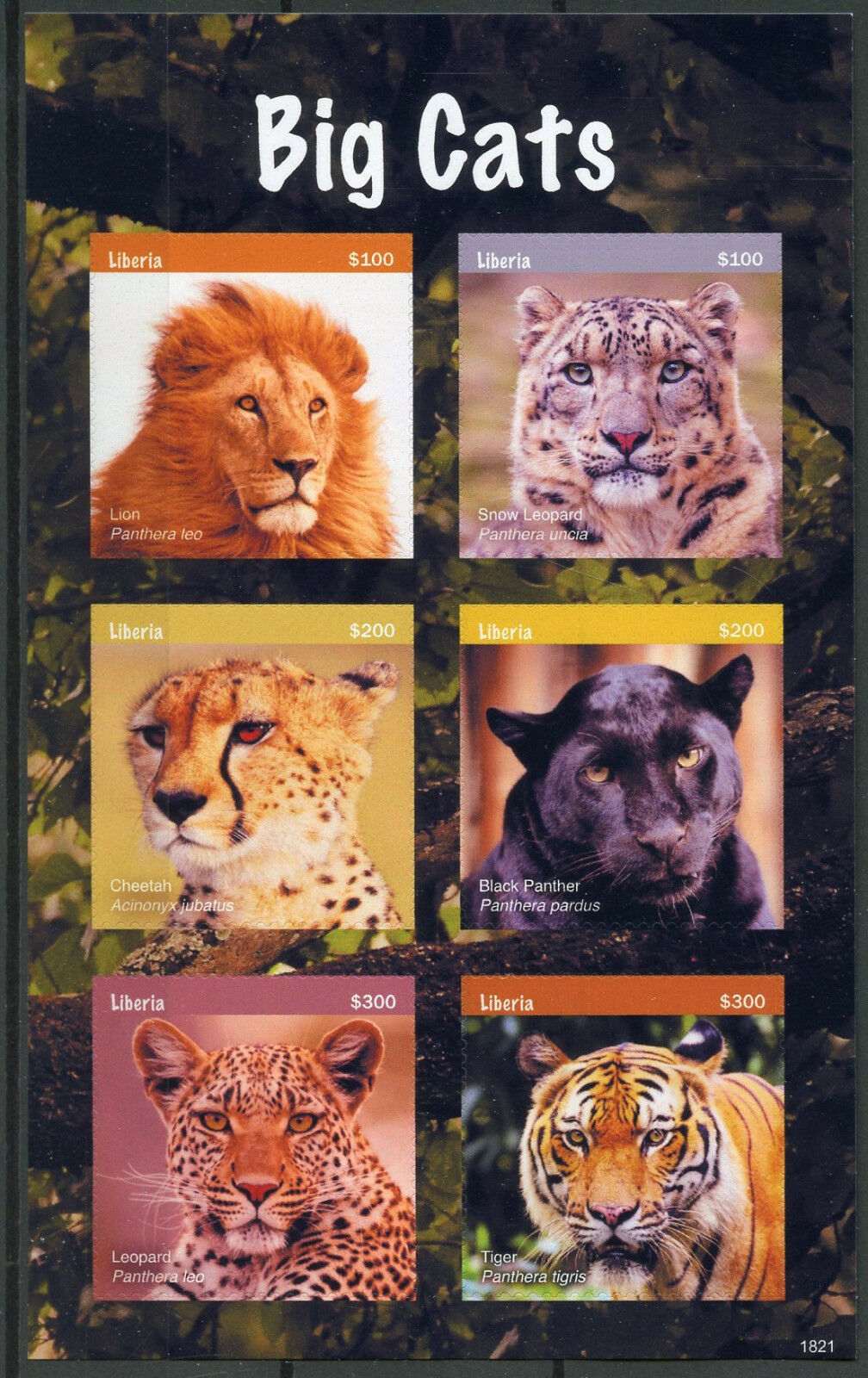 Liberia 2018 MNH Wild Animals Stamps Big Cats Lions Tigers Leopards 6v S/A M/S