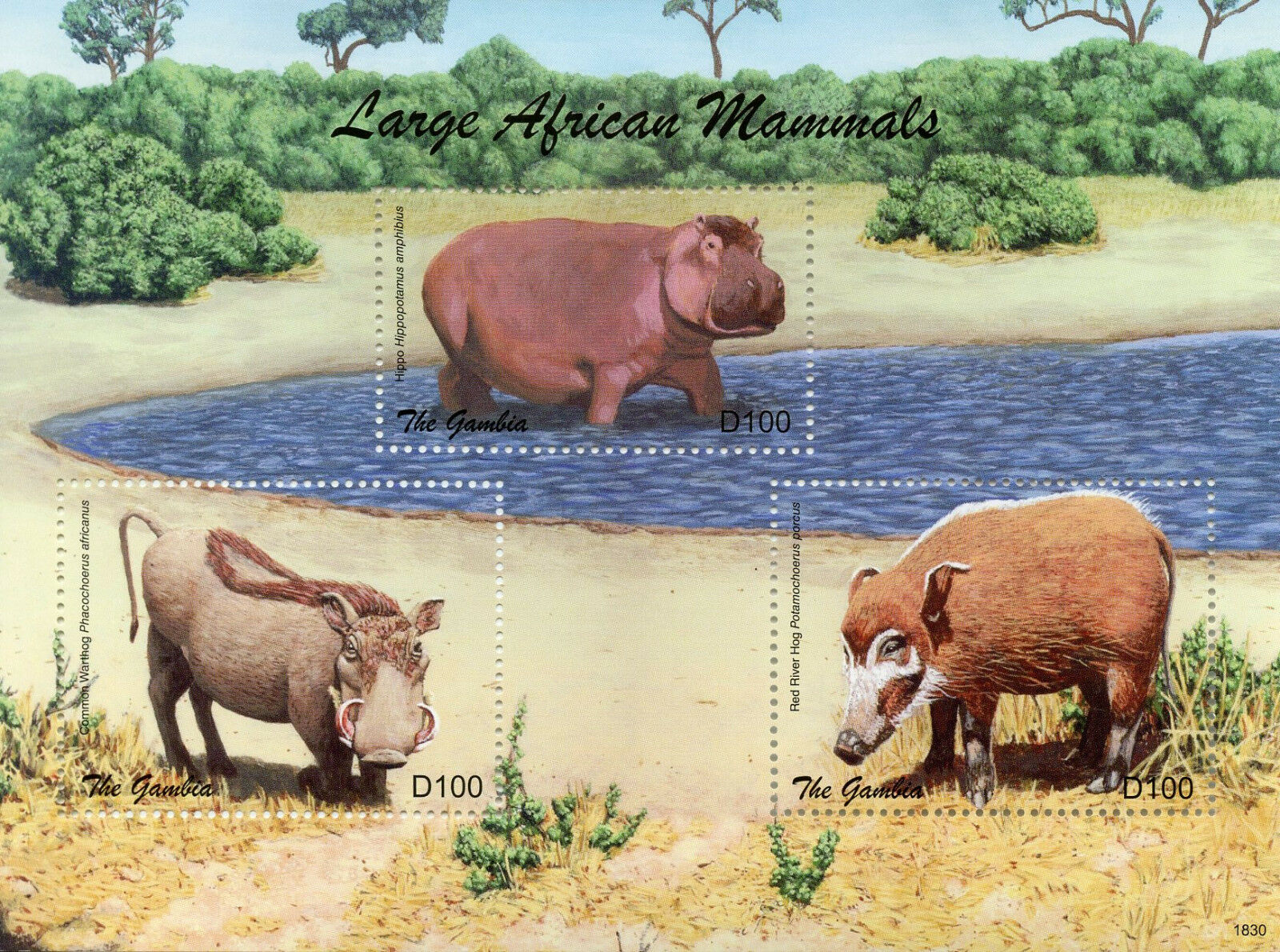 Gambia Wild Animals Stamps 2018 MNH Large African Mammals Hippos Warthogs 3v M/S