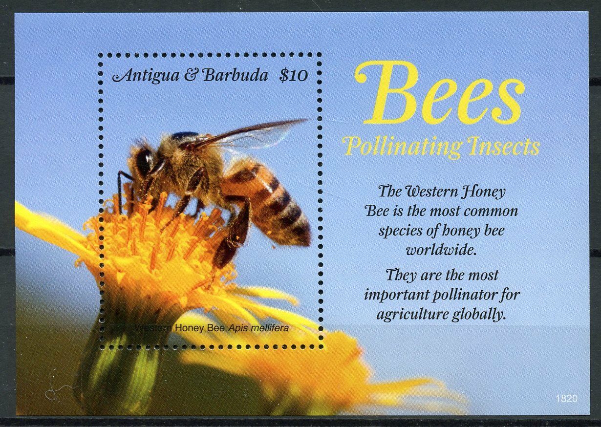 Antigua & Barbuda Stamps 2018 MNH Bees Stamps Bee Pollinating Insects 1v S/S