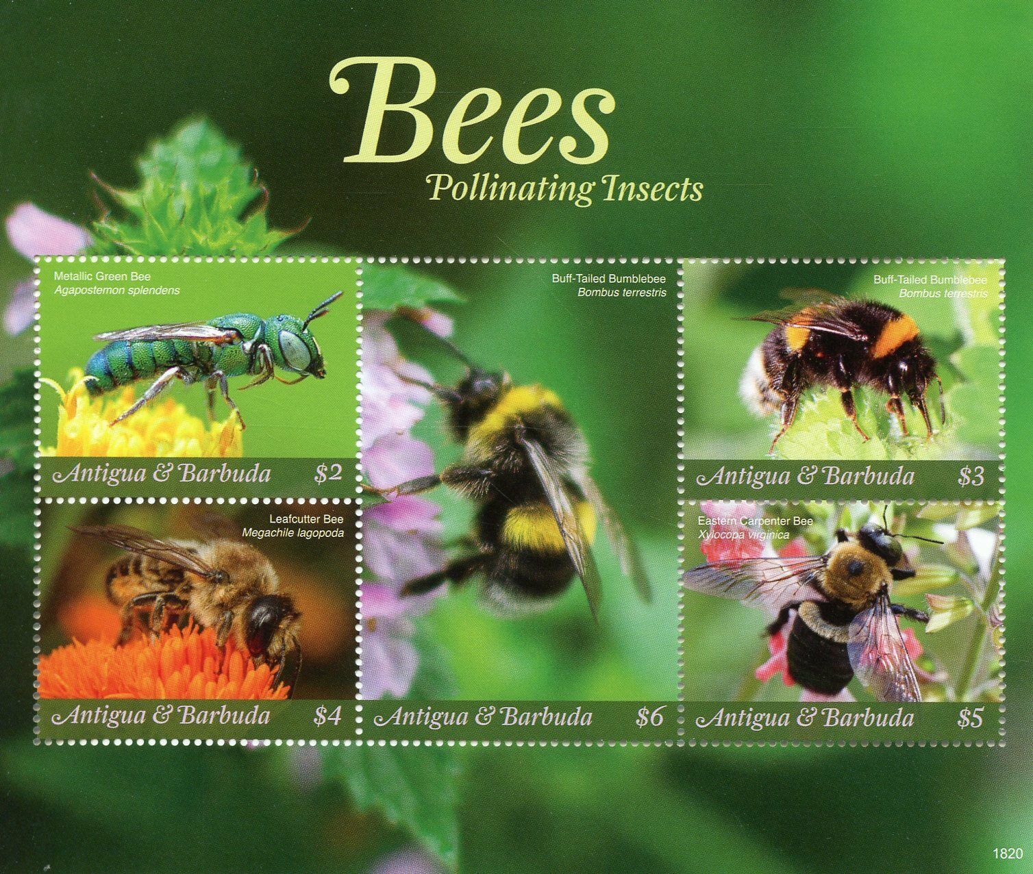 Antigua & Barbuda 2018 MNH Bees Pollinating Insects 5v M/S Bee Stamps